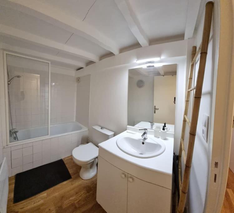 T2 Charmant - Hypercentre - Quai De Garonne - Wifi Daire Toulouse Dış mekan fotoğraf